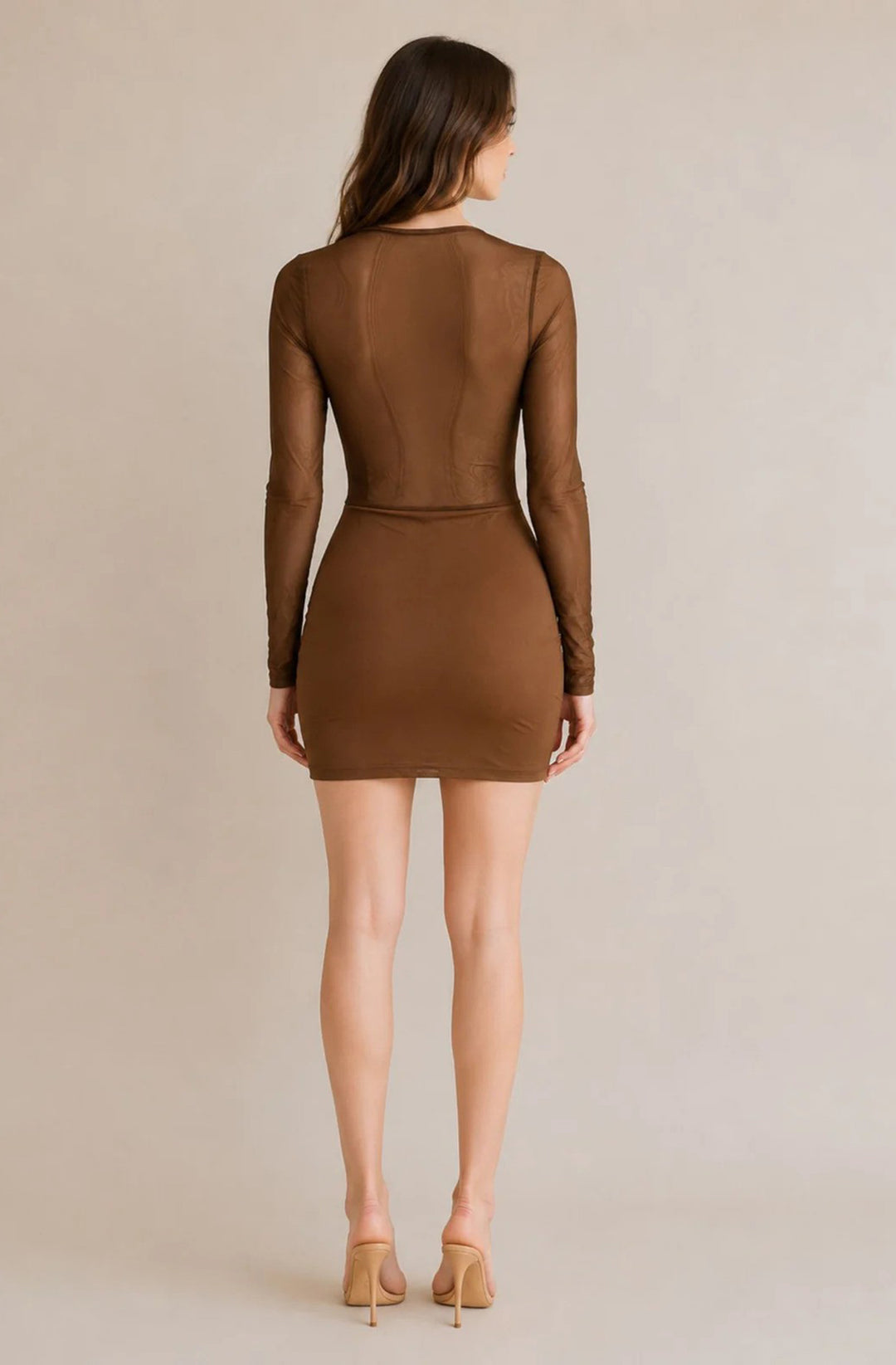 Sabrina Sheer Mesh Lace Corset Bodycon Mini Dress