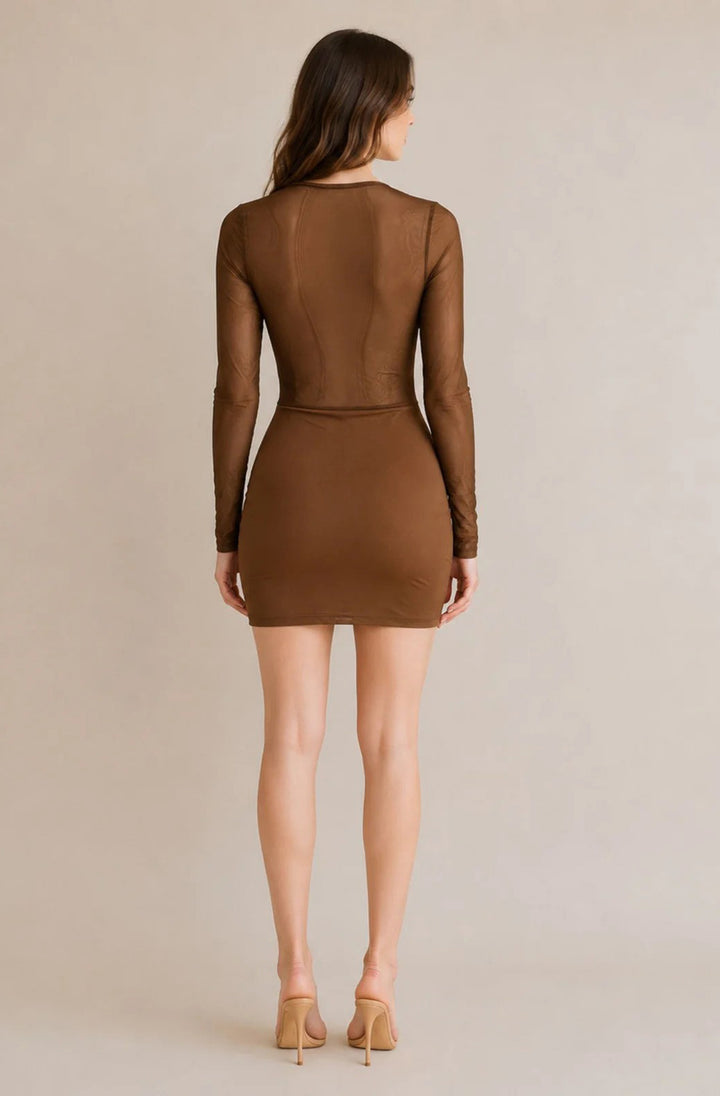 Sabrina Sheer Mesh Lace Corset Bodycon Mini Dress